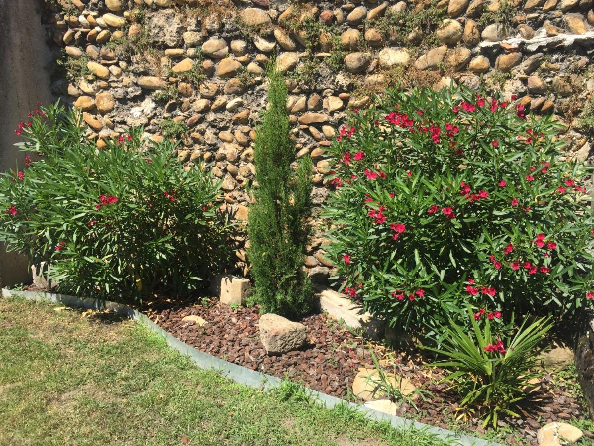Le Charles Ix * Roussillon (Isere)